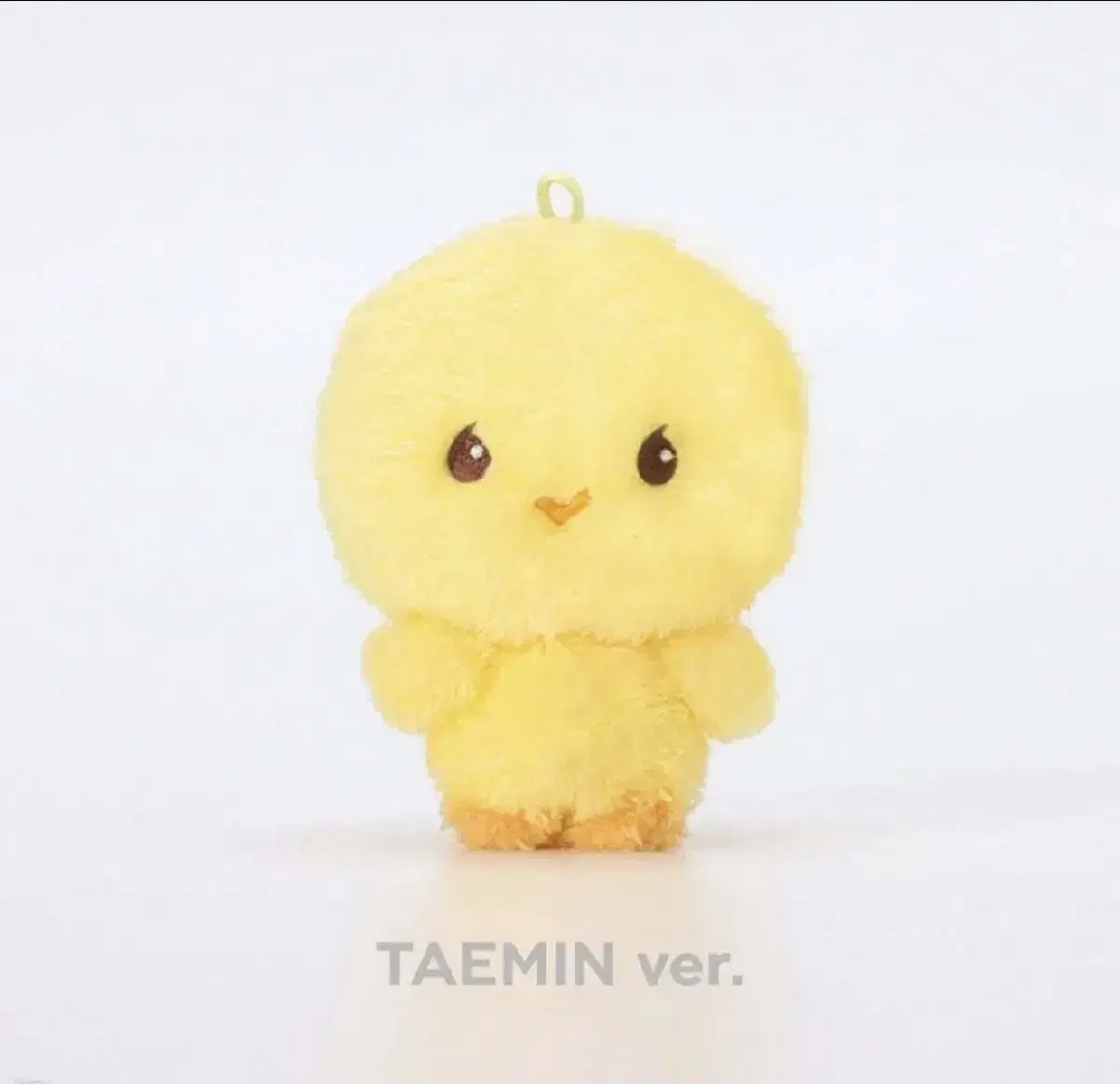 미개봉) 샤이니 태민 10cm 인형 탬아리